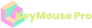 KeyMouse Pro